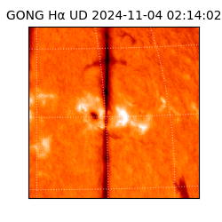 gong - 2024-11-04T02:14:02