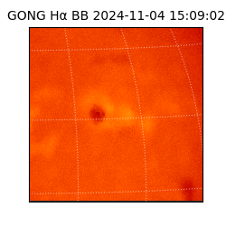 gong - 2024-11-04T15:09:02