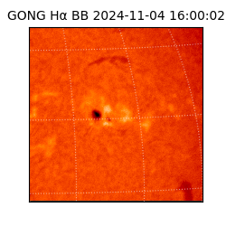 gong - 2024-11-04T16:00:02