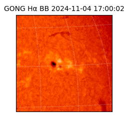 gong - 2024-11-04T17:00:02