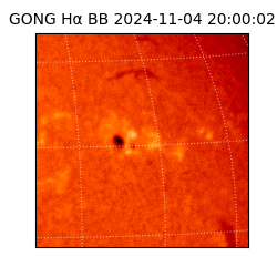 gong - 2024-11-04T20:00:02