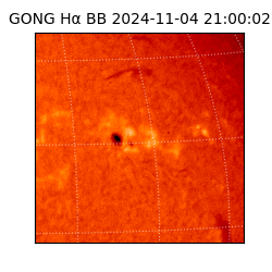 gong - 2024-11-04T21:00:02