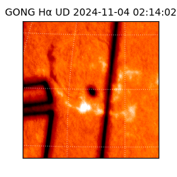 gong - 2024-11-04T02:14:02