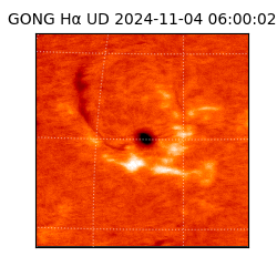 gong - 2024-11-04T06:00:02