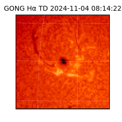 gong - 2024-11-04T08:14:22