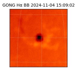 gong - 2024-11-04T15:09:02