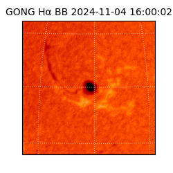 gong - 2024-11-04T16:00:02