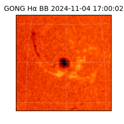 gong - 2024-11-04T17:00:02