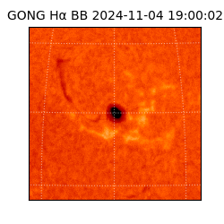 gong - 2024-11-04T19:00:02