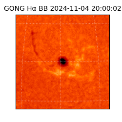 gong - 2024-11-04T20:00:02