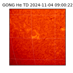 gong - 2024-11-04T09:00:22