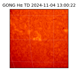 gong - 2024-11-04T13:00:22