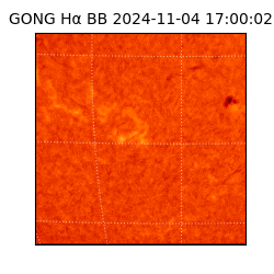 gong - 2024-11-04T17:00:02