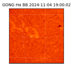 gong - 2024-11-04T19:00:02