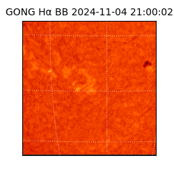 gong - 2024-11-04T21:00:02