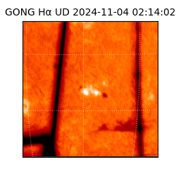 gong - 2024-11-04T02:14:02