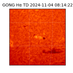 gong - 2024-11-04T08:14:22