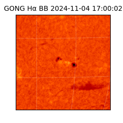 gong - 2024-11-04T17:00:02