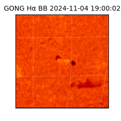 gong - 2024-11-04T19:00:02