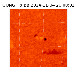 gong - 2024-11-04T20:00:02