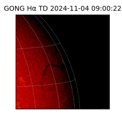 gong - 2024-11-04T09:00:22