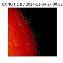 gong - 2024-11-04T17:00:02