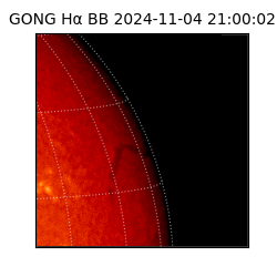 gong - 2024-11-04T21:00:02