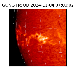 gong - 2024-11-04T07:00:02