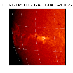 gong - 2024-11-04T14:00:22