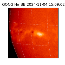 gong - 2024-11-04T15:09:02