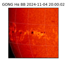 gong - 2024-11-04T20:00:02