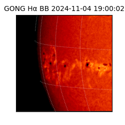 gong - 2024-11-04T19:00:02