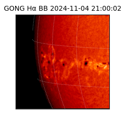 gong - 2024-11-04T21:00:02