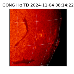 gong - 2024-11-04T08:14:22