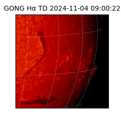 gong - 2024-11-04T09:00:22