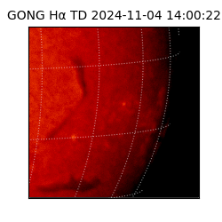 gong - 2024-11-04T14:00:22