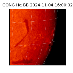 gong - 2024-11-04T16:00:02