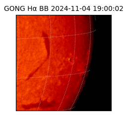 gong - 2024-11-04T19:00:02