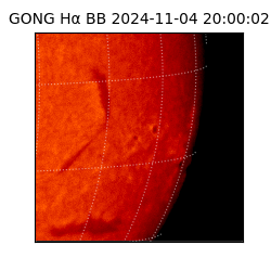 gong - 2024-11-04T20:00:02