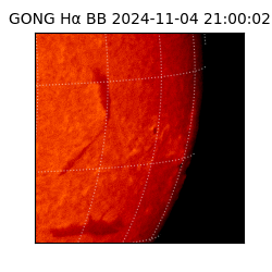 gong - 2024-11-04T21:00:02