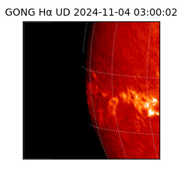 gong - 2024-11-04T03:00:02