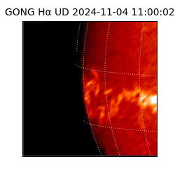 gong - 2024-11-04T11:00:02