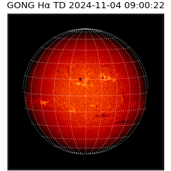 gong - 2024-11-04T09:00:22