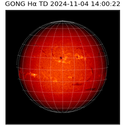 gong - 2024-11-04T14:00:22