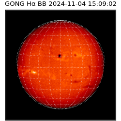 gong - 2024-11-04T15:09:02