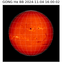 gong - 2024-11-04T16:00:02