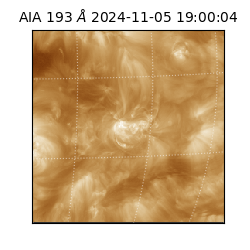 saia - 2024-11-05T19:00:04.843000