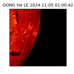 gong - 2024-11-05T01:00:42