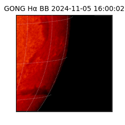 gong - 2024-11-05T16:00:02