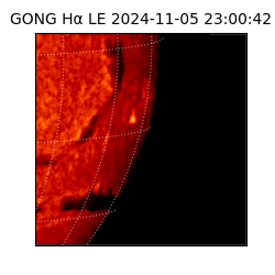 gong - 2024-11-05T23:00:42